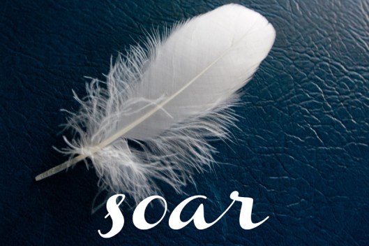 soar_01