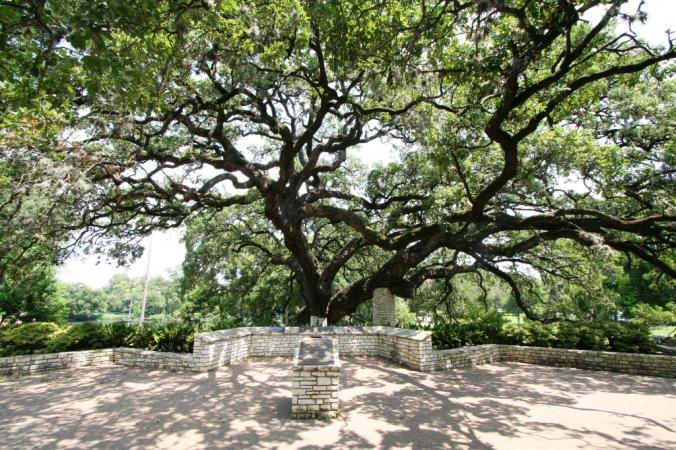 Landa-Park-Fouders-Oak