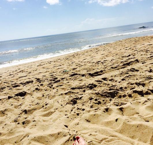 11050750_10207682225000195_7700269781450035954_n