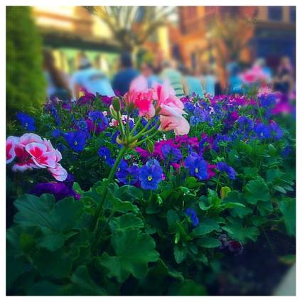 11224408_10207758459746016_6783650341393594368_n