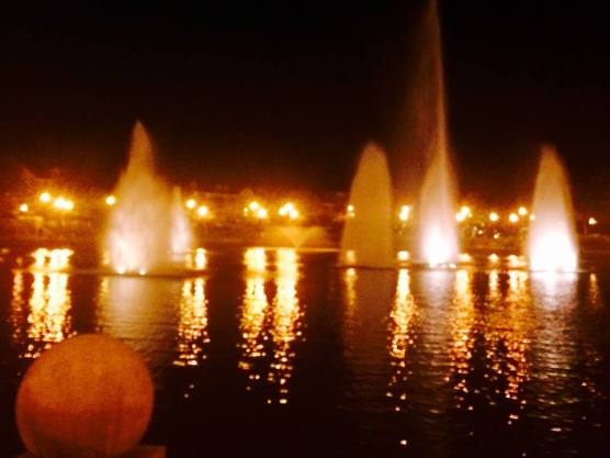 11745325_10207682213959919_780548936178013690_n