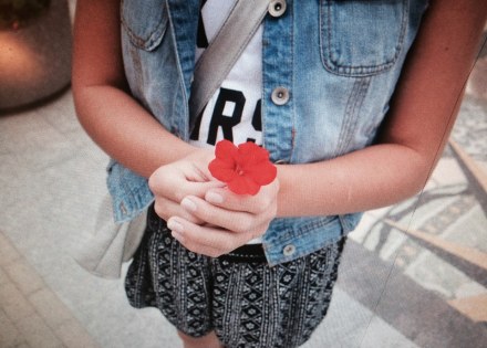 11755132_10207682169318803_2872658066503856346_n