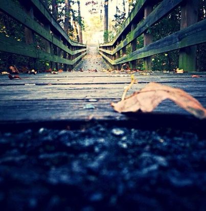 1473920_10202797628648339_2105884648_n