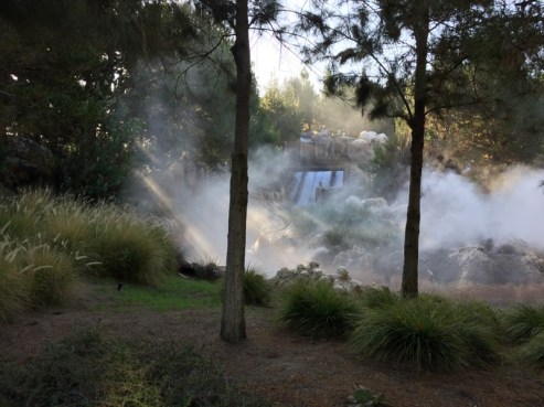 11900019_10207964691661685_8374470678997526573_n