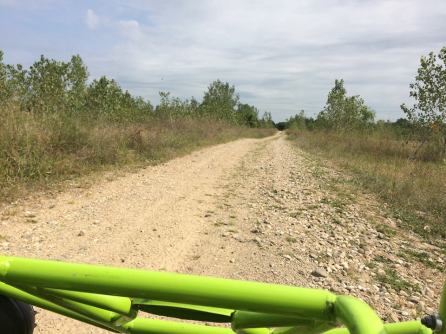 11903904_10207964513177223_7876792079004916728_n