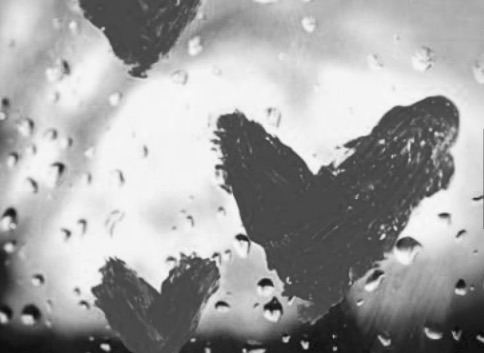 11949464_10208016339112839_6410654275708581477_n