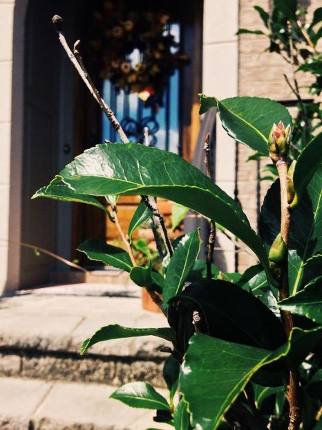 11951693_10208058920817355_3063119745644178617_o