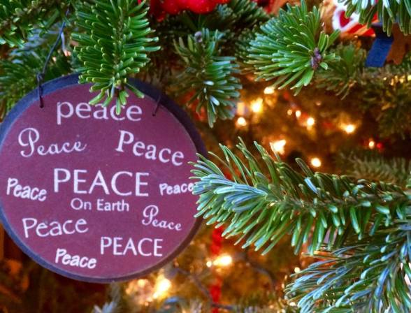 12345628_10208625335297363_2355110480362652355_n