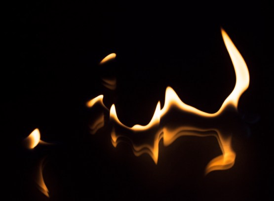 12716211_10209143679655648_1404086195426651687_o