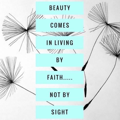 13254630_10209997367917321_1753225866503136646_o