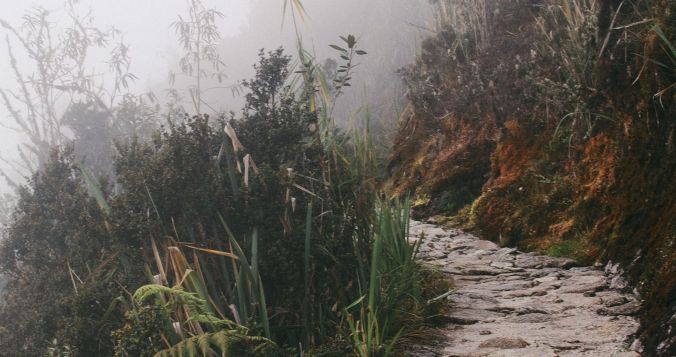 photo-1438211891462-006dc8998ef1