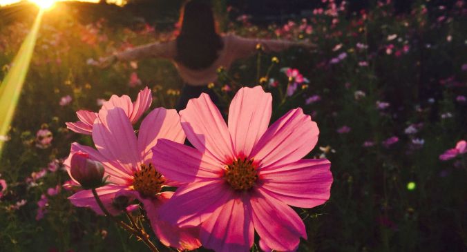 photo-1445090909078-0217954421ec