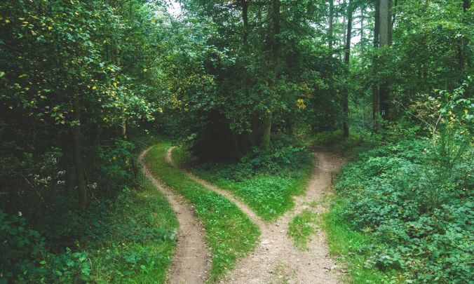 photo-1429743305873-d4065c15f93e