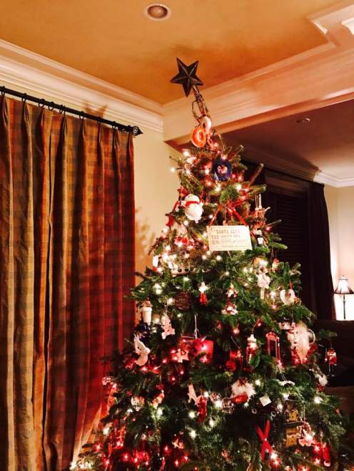 15380375_10211989204711996_9069864355369525463_n